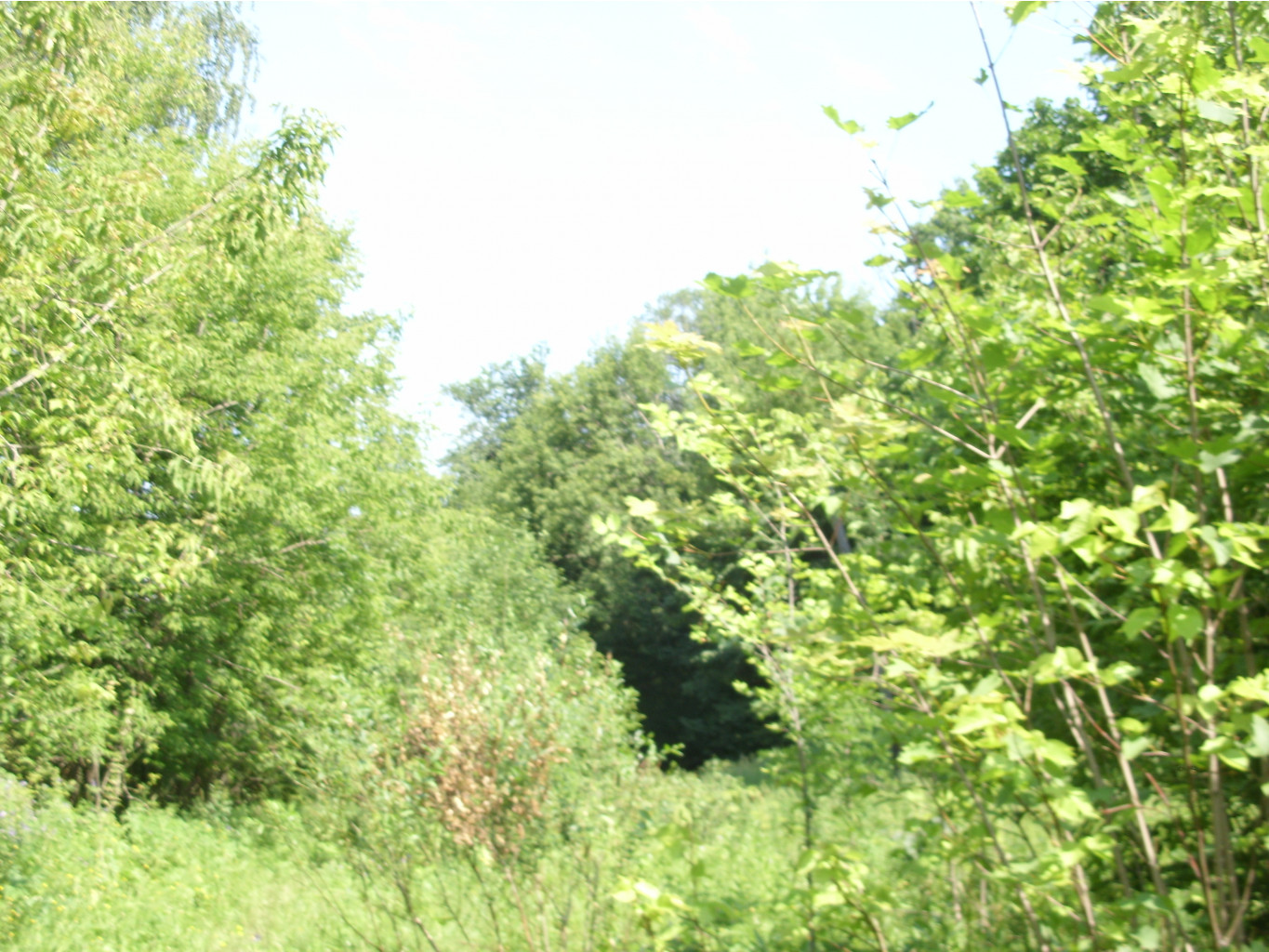 20.07.2010 23:51:19
