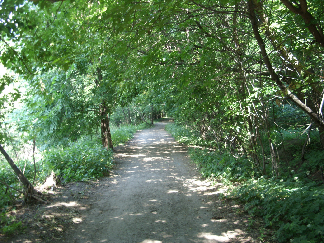 20.07.2010 23:51:55