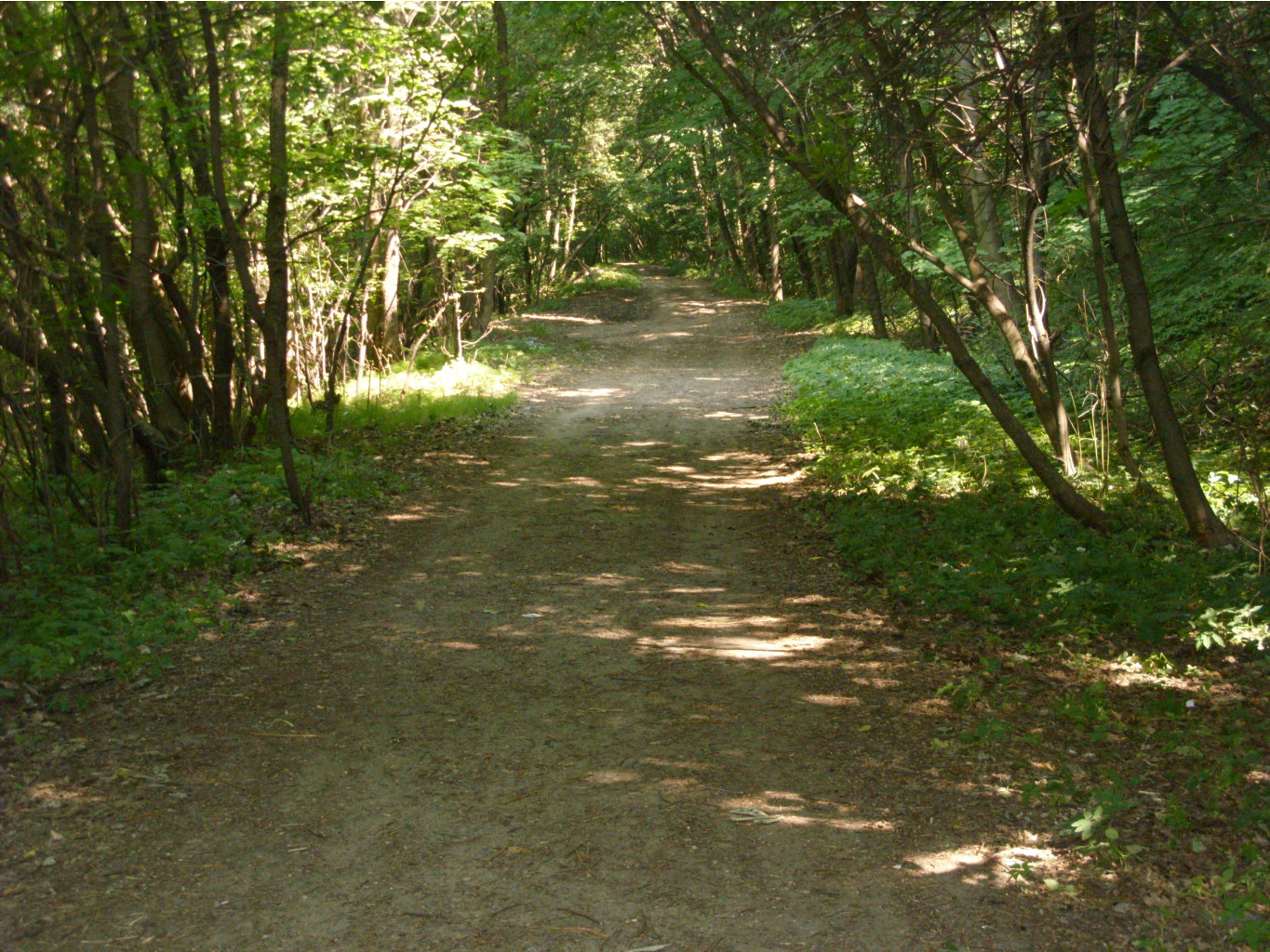 20.07.2010 23:52:31