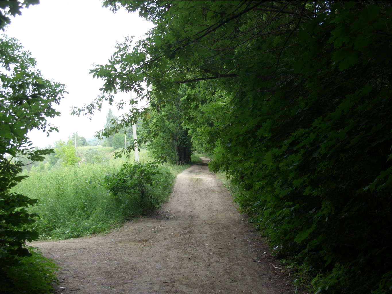 21.07.2010 0:09:05