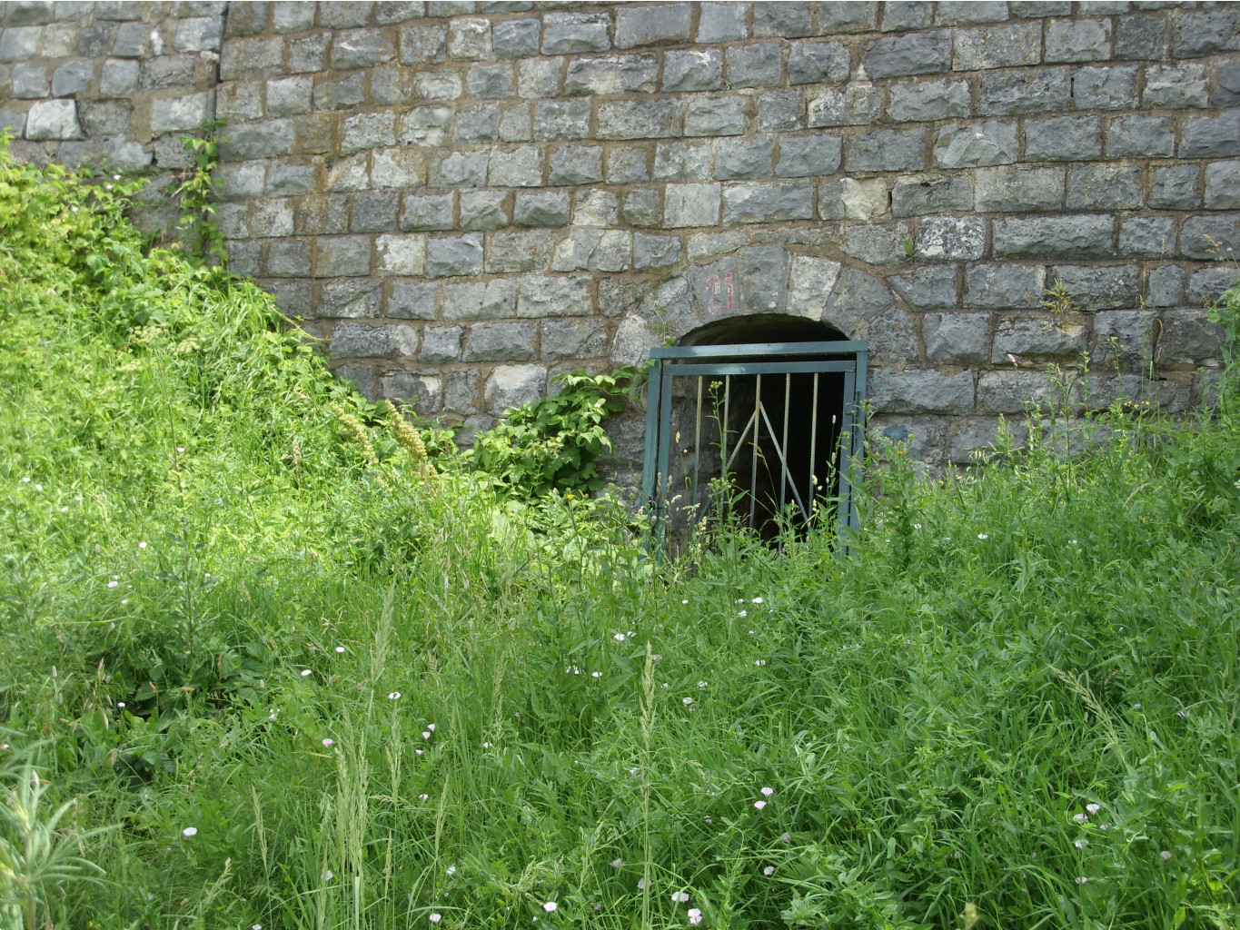 21.07.2010 0:24:52
