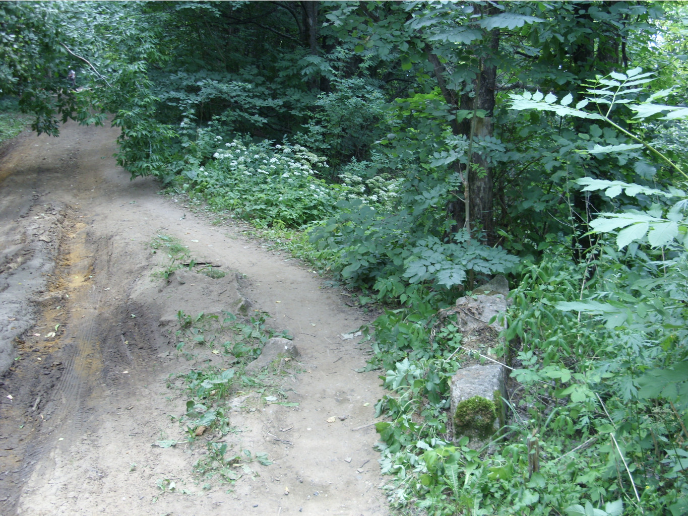 21.07.2010 1:06:43