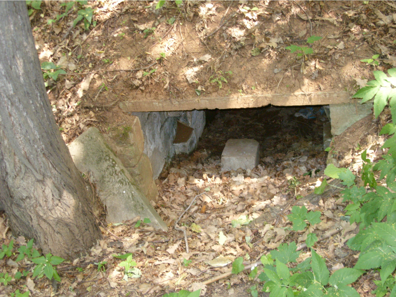 21.07.2010 1:26:46