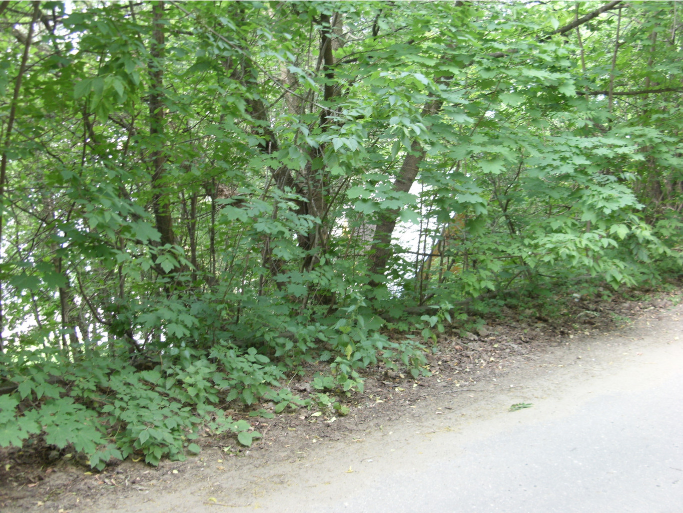 21.07.2010 1:29:07