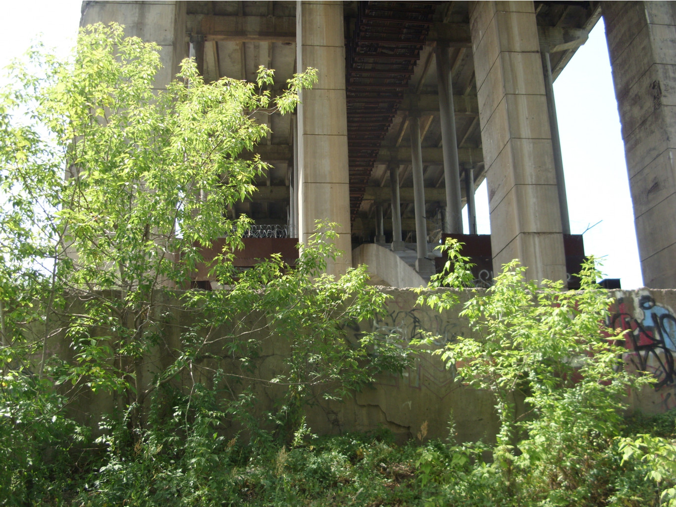 21.07.2010 1:36:57