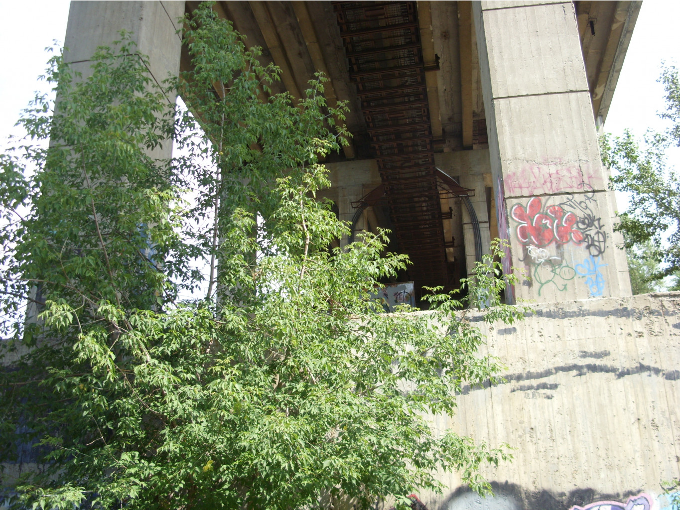 21.07.2010 1:37:33