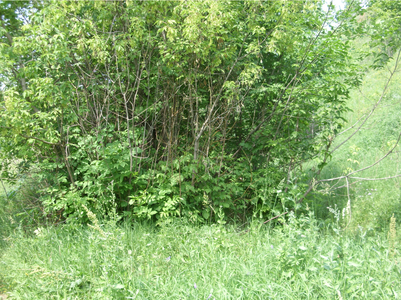 21.07.2010 1:38:45