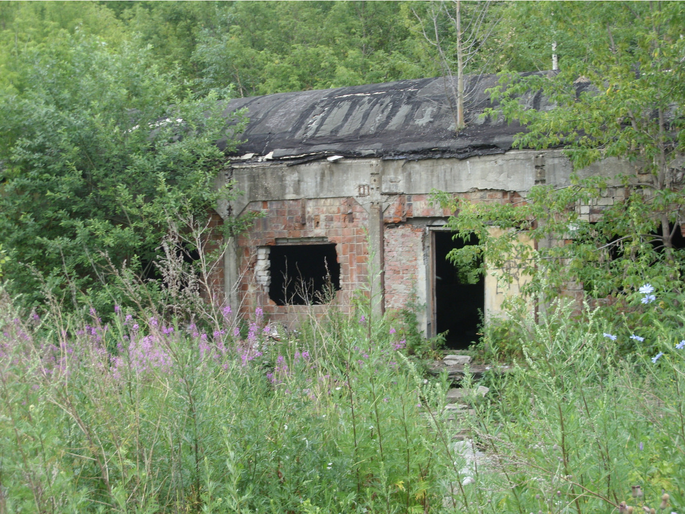 21.07.2010 2:06:05