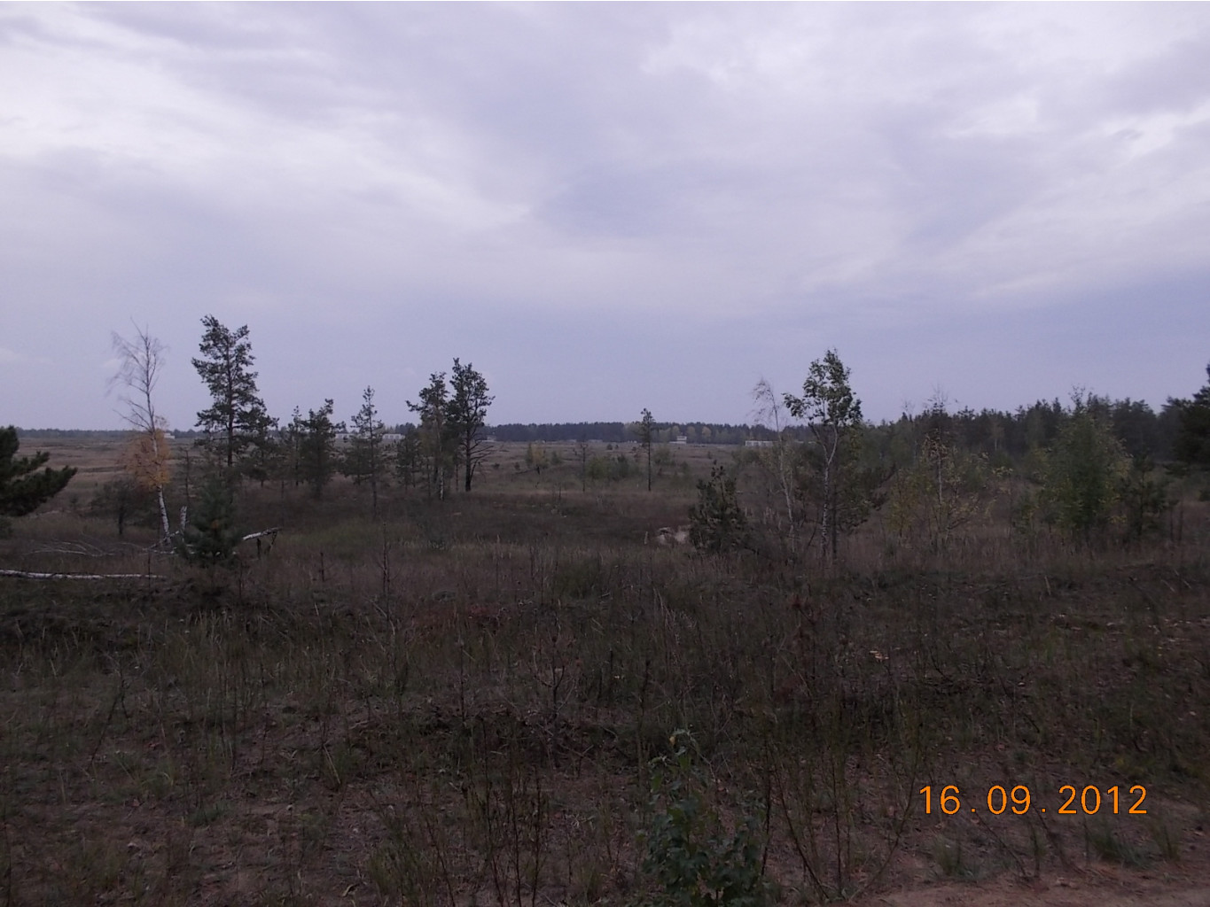 DSCN0056.JPG