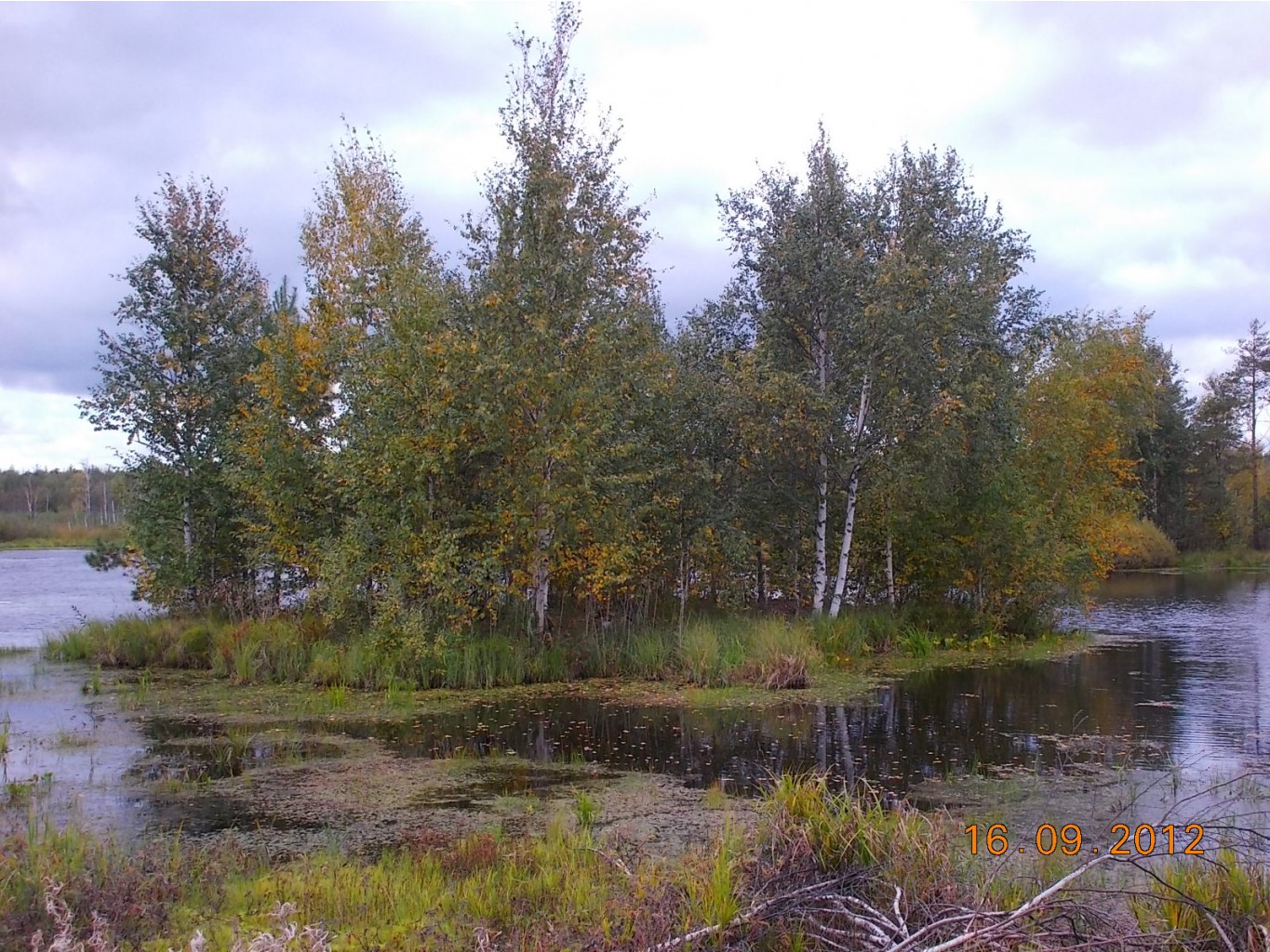 DSCN0080.JPG