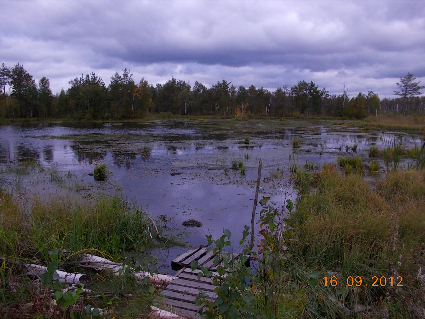 DSCN0082.JPG