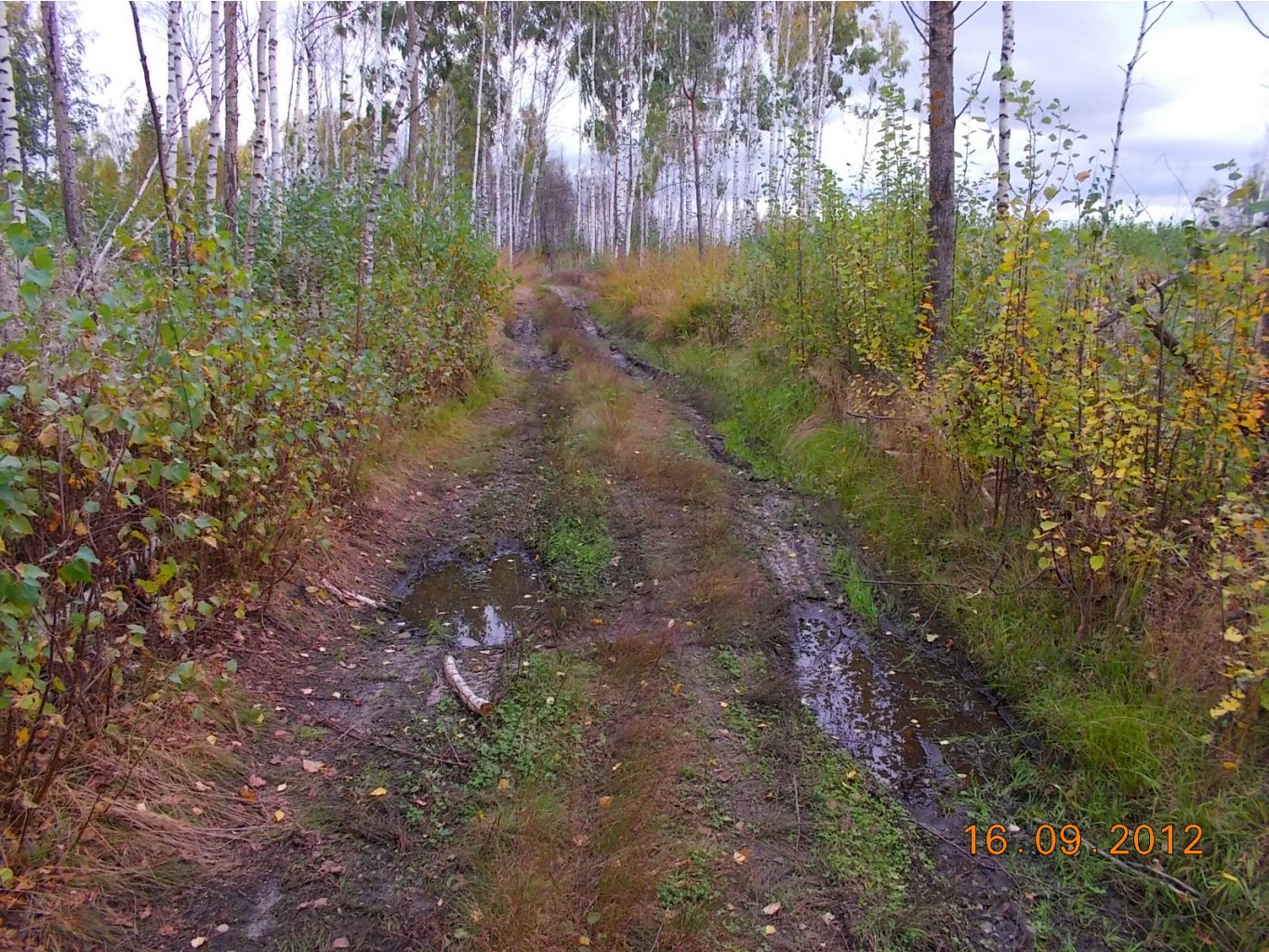DSCN0084.JPG