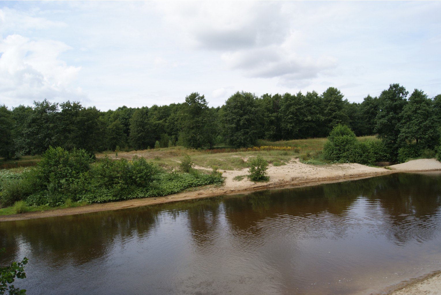 11-08-06.046.JPG