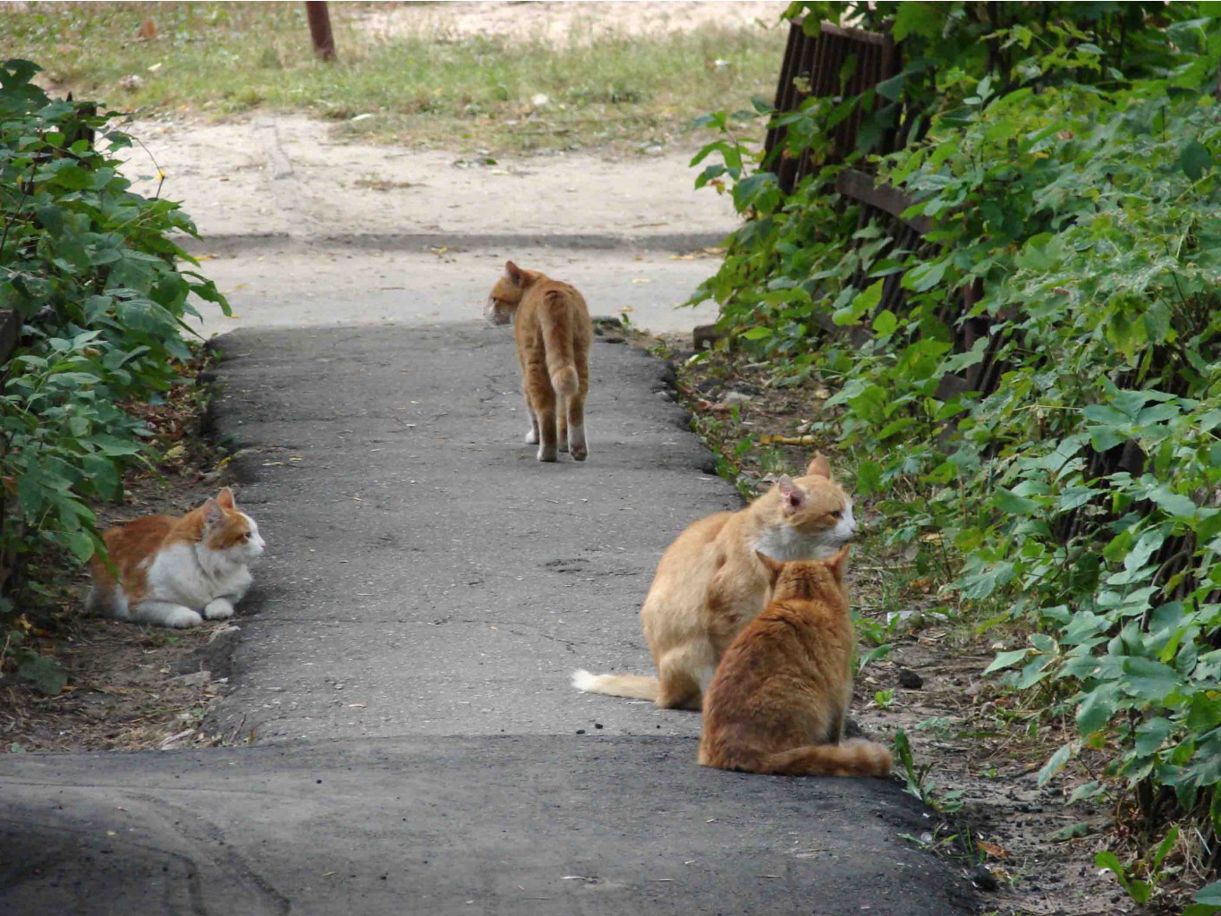  , ݣ         !        ?