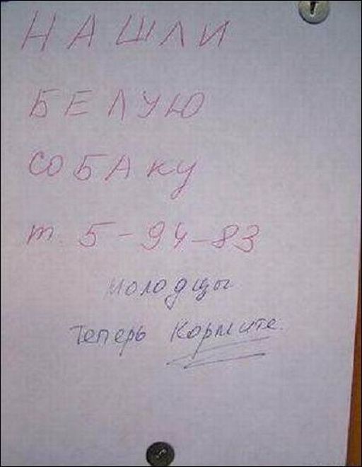 Объява: нашли собаку :)