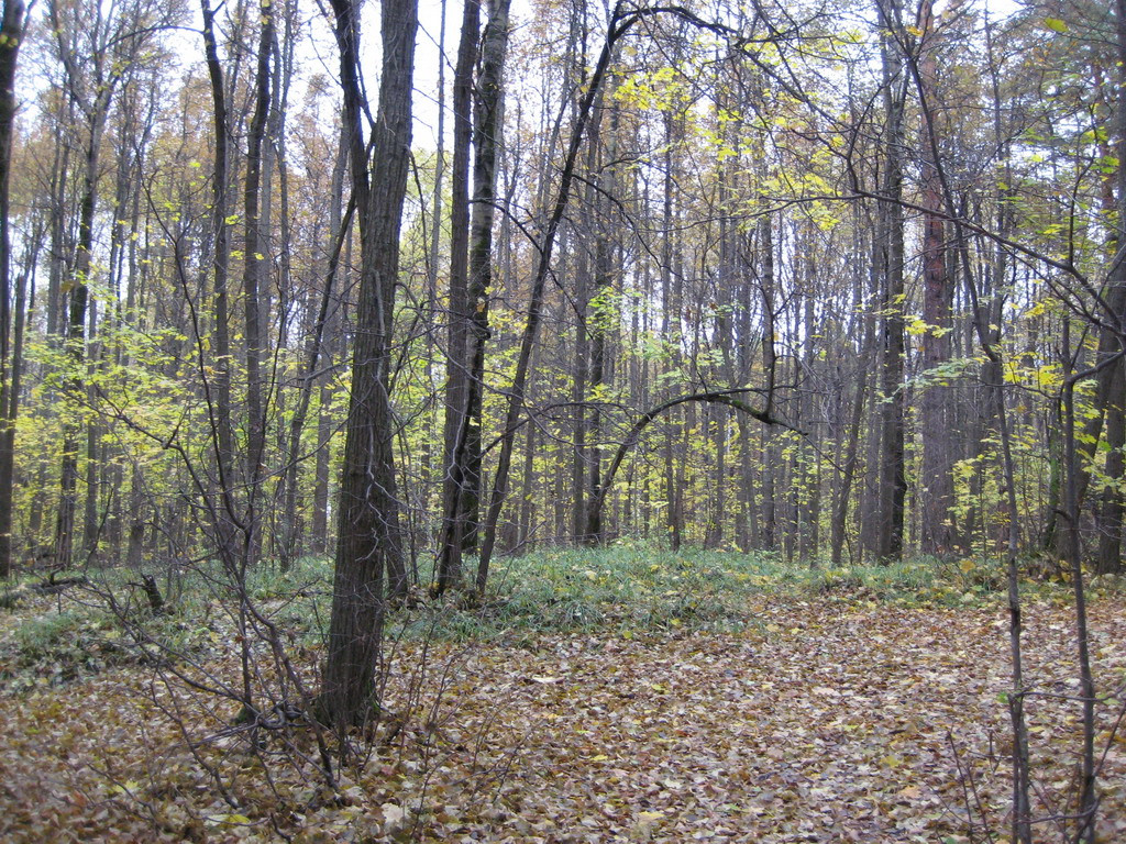 29.09.2008 21:08:38