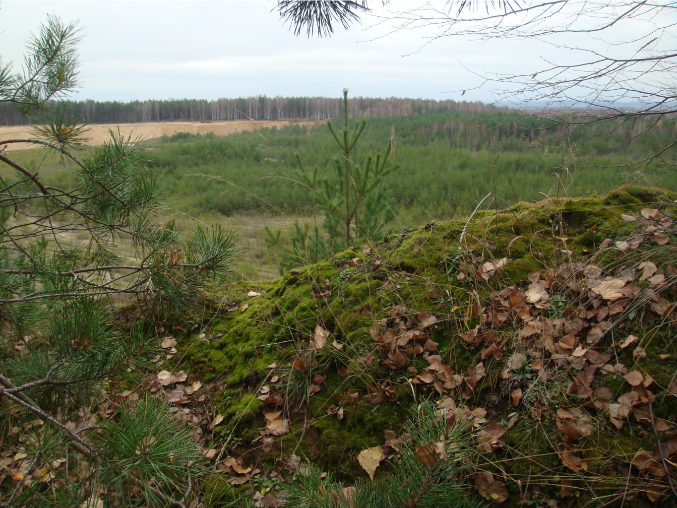 DSC04772.JPG