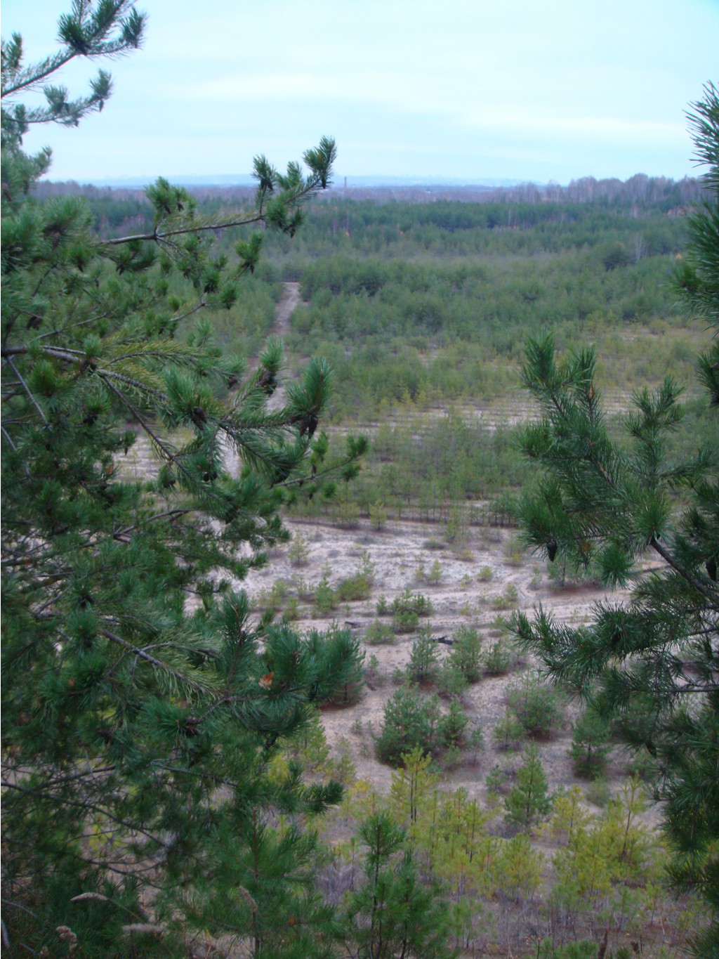 DSC04775.JPG