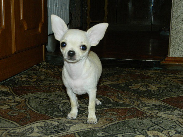 DSCN1410.JPG