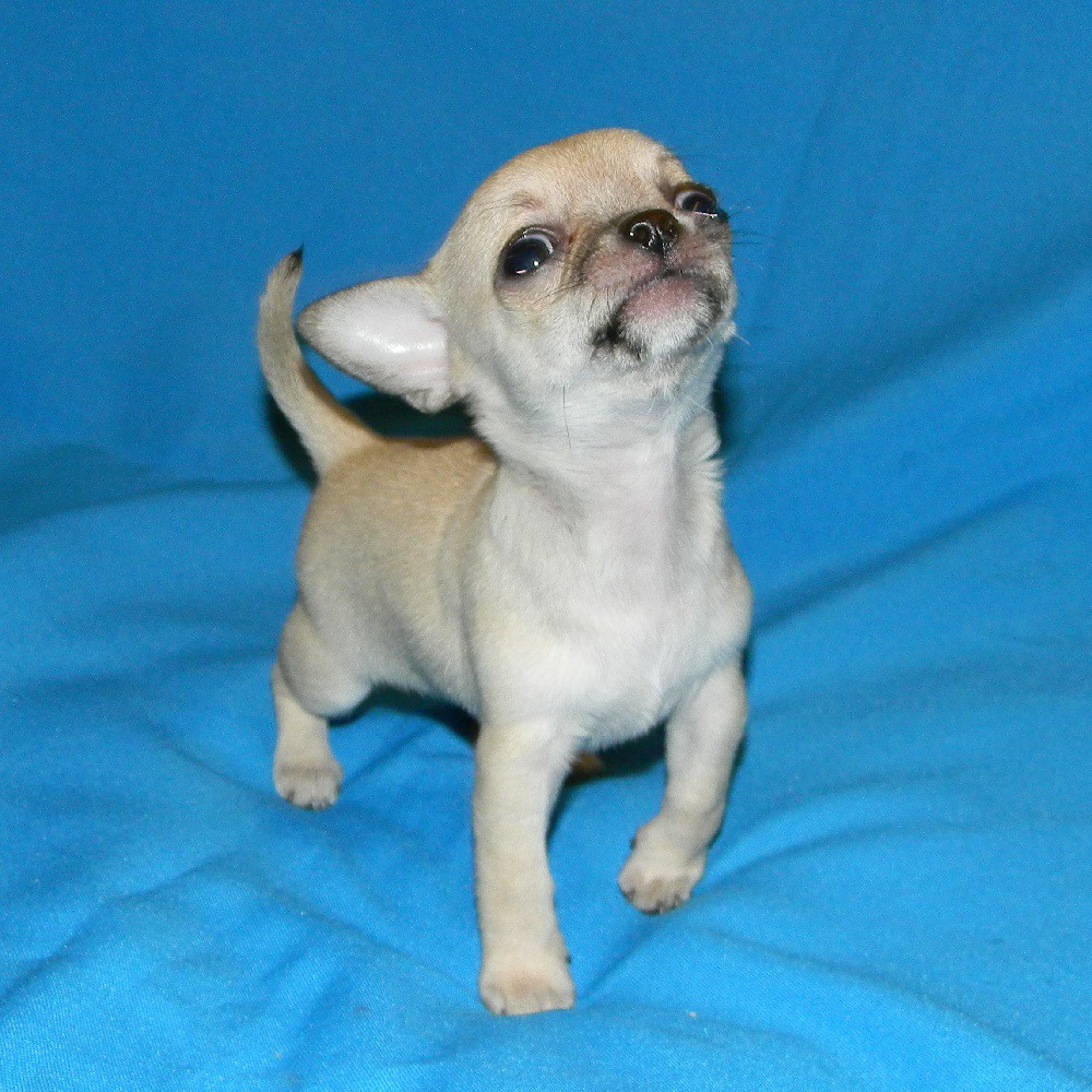 DSCN2215.JPG