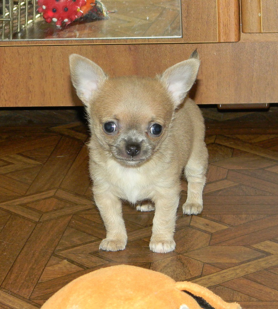DSCN2197.JPG