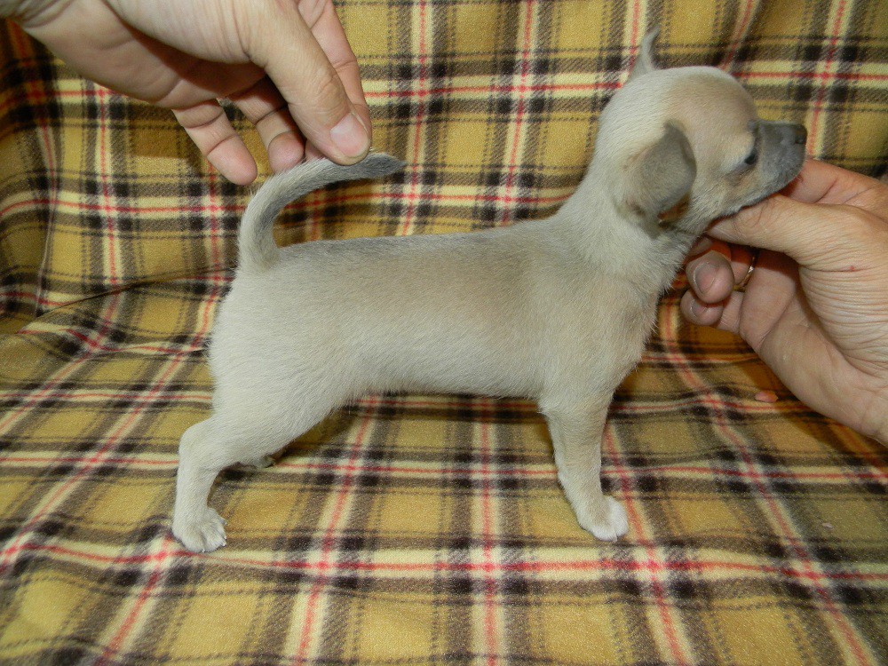 DSCN2405.JPG
