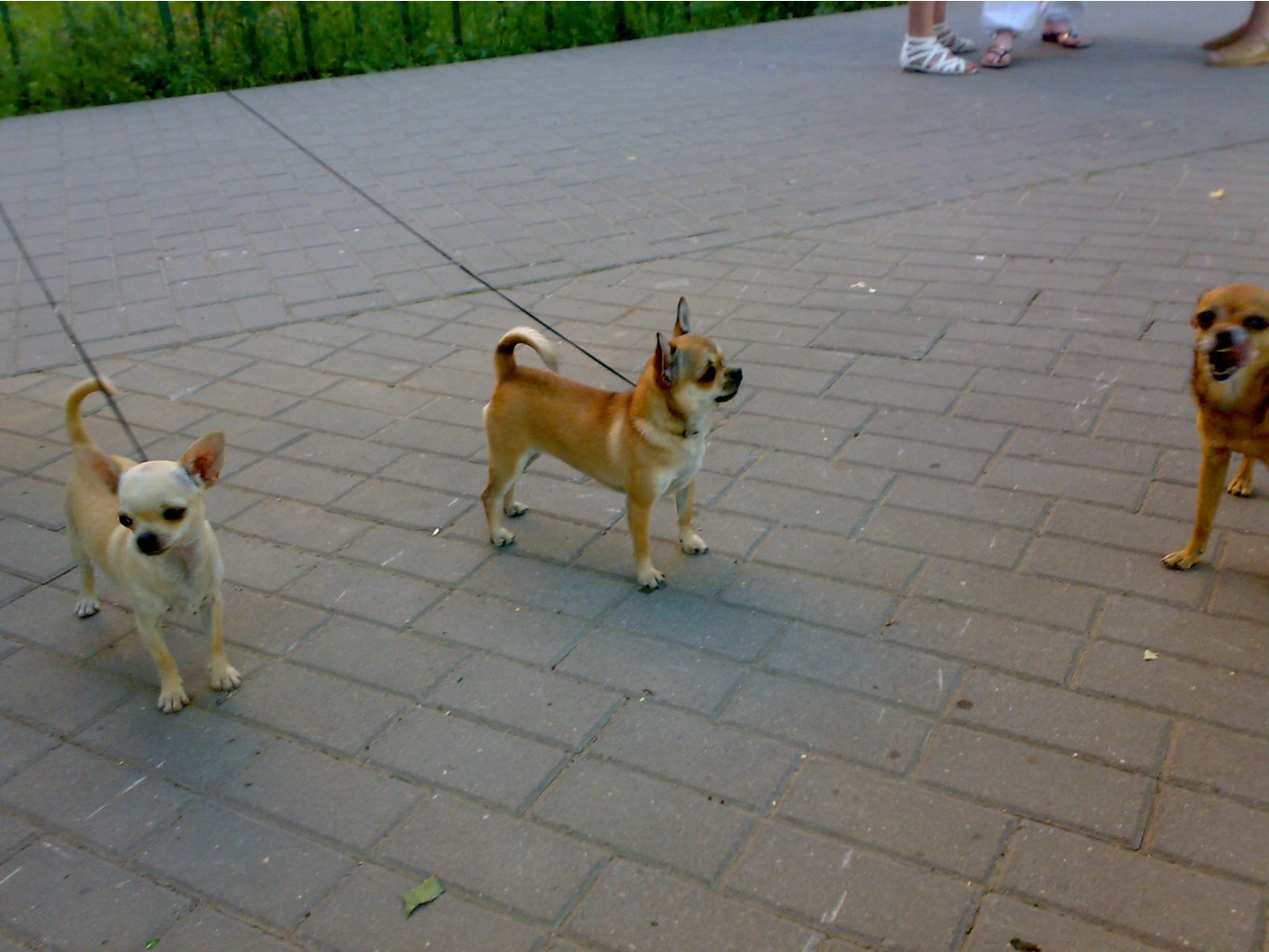 12072011684.jpg