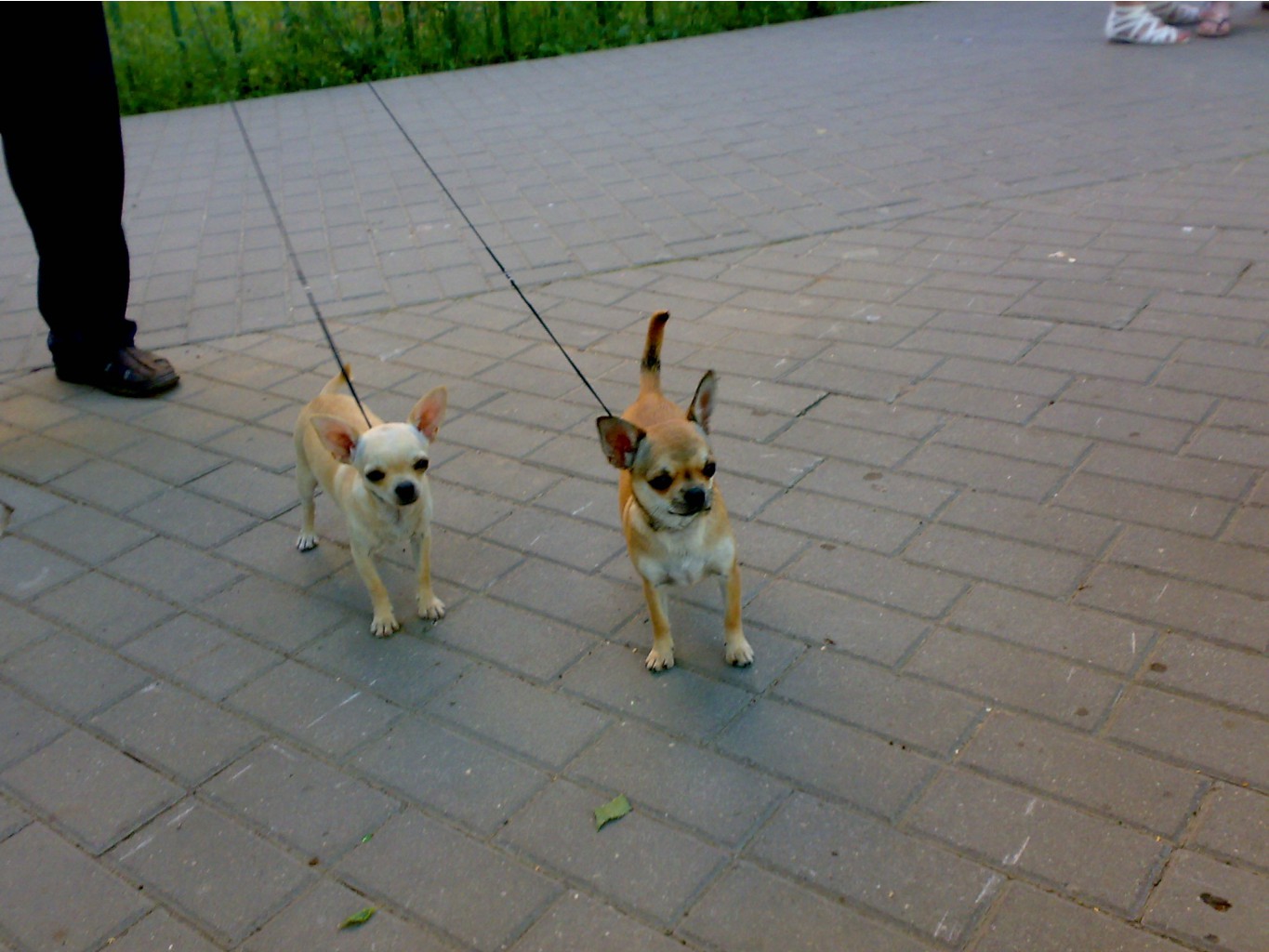 12072011686.jpg