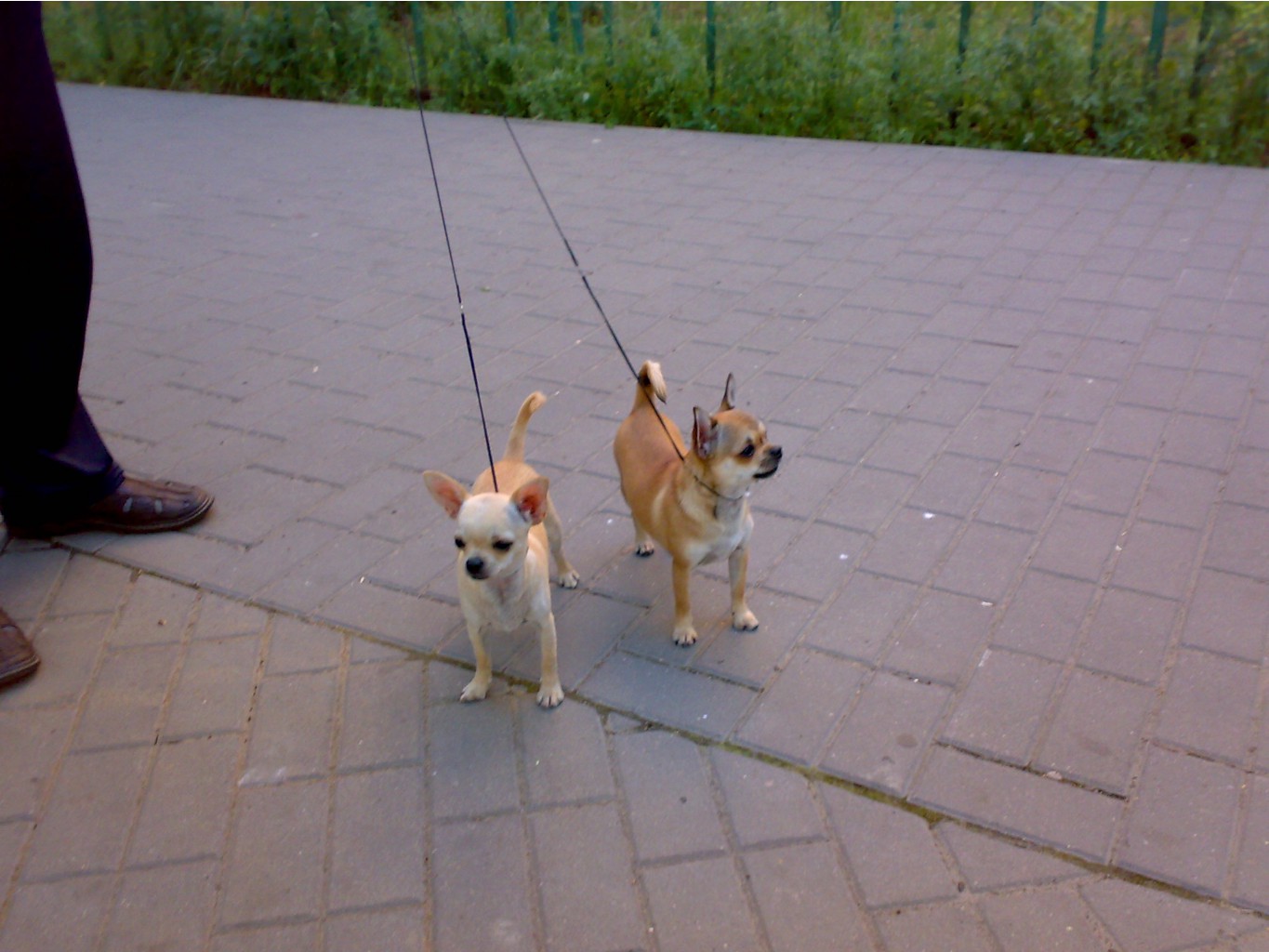 12072011682.jpg