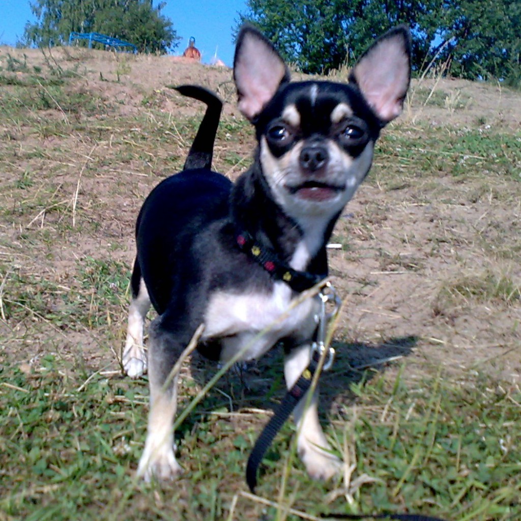 01072010459.jpg