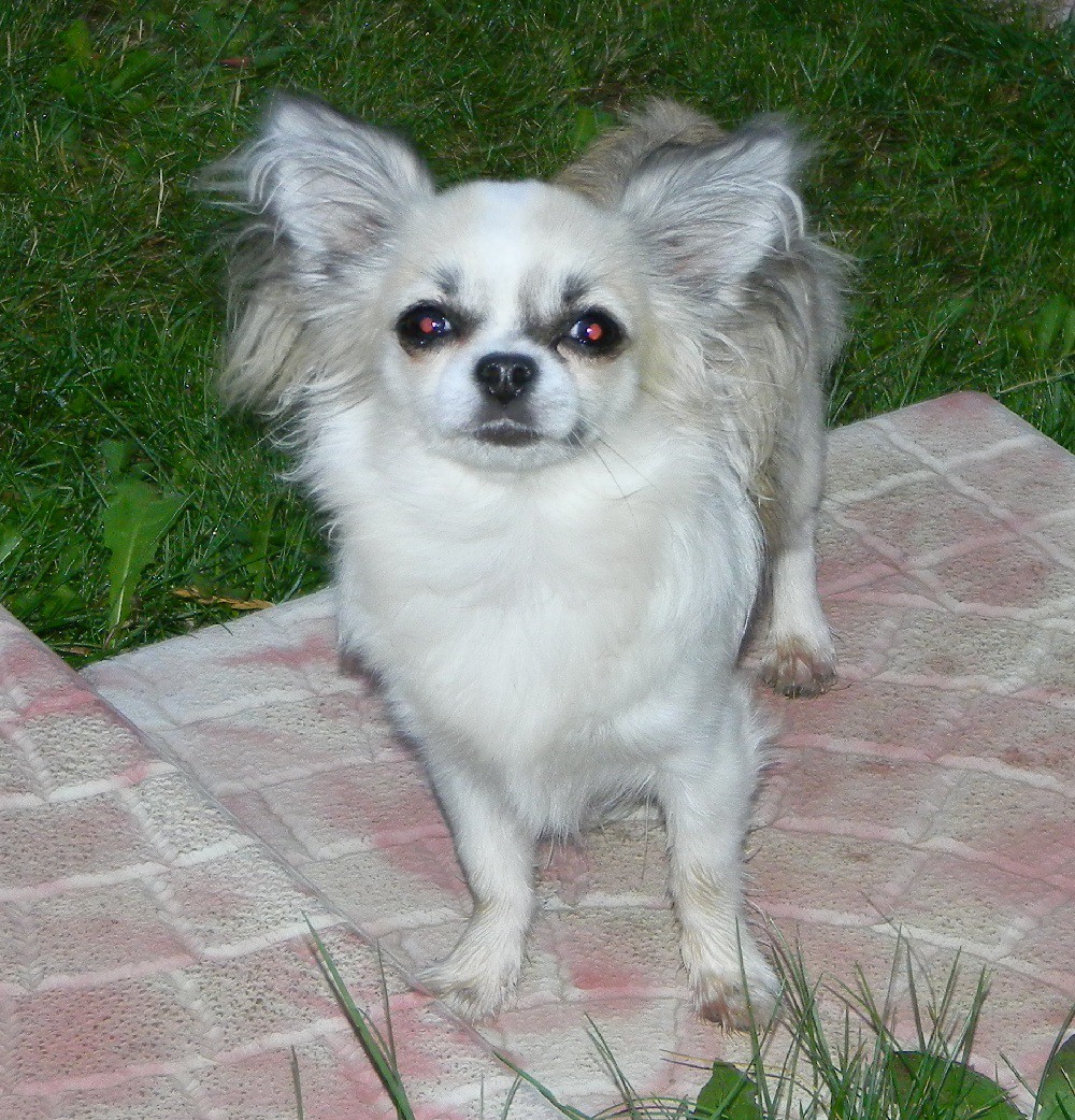 DSCN1812.JPG