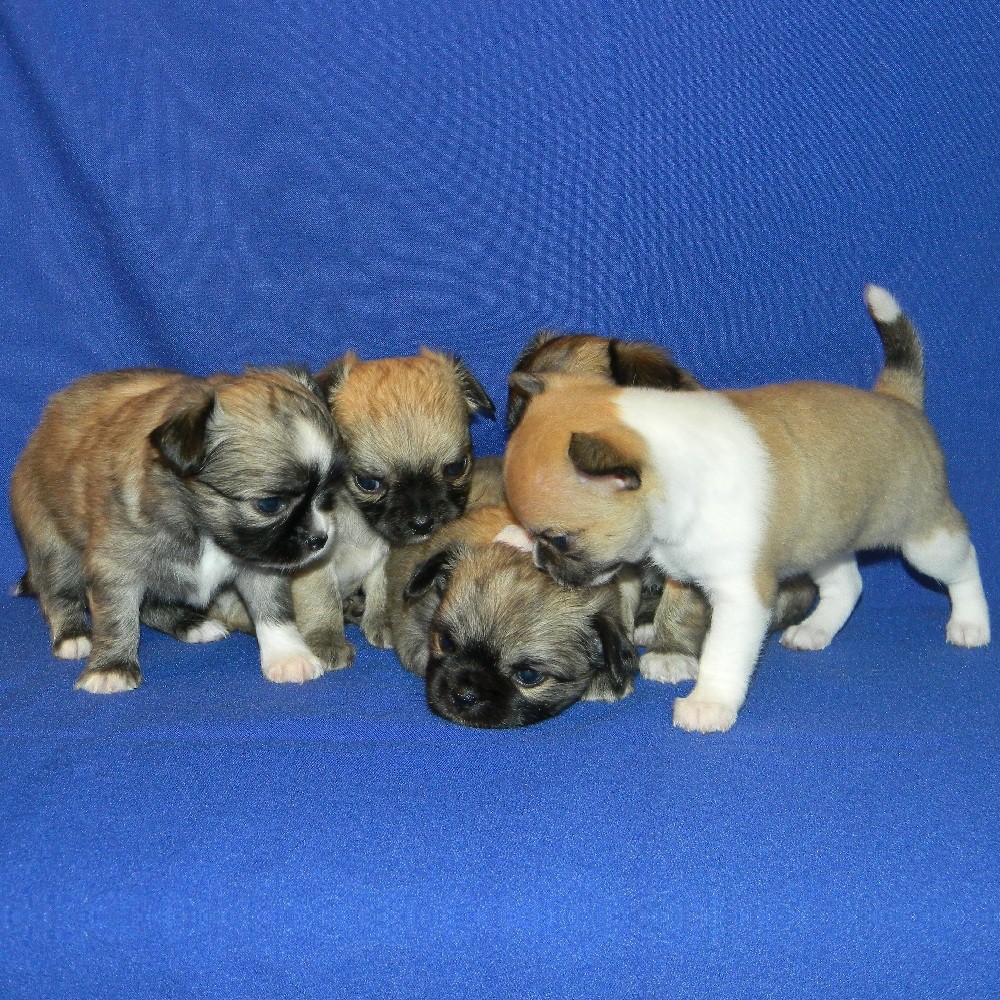 DSCN1952.JPG