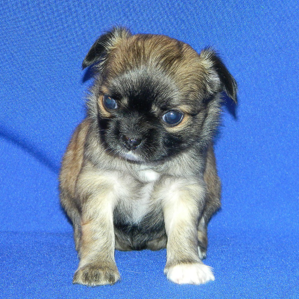 DSCN1977.JPG