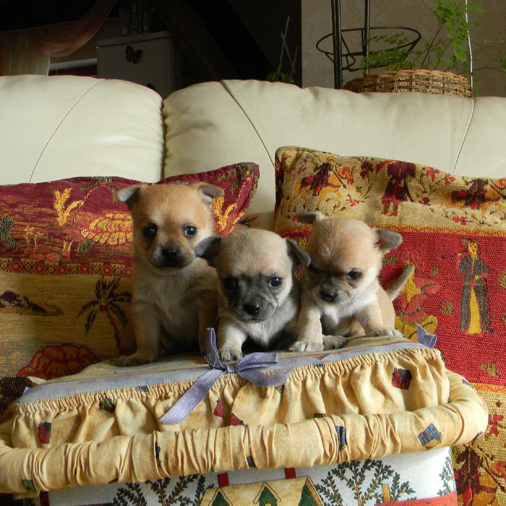 DSCN2327.JPG