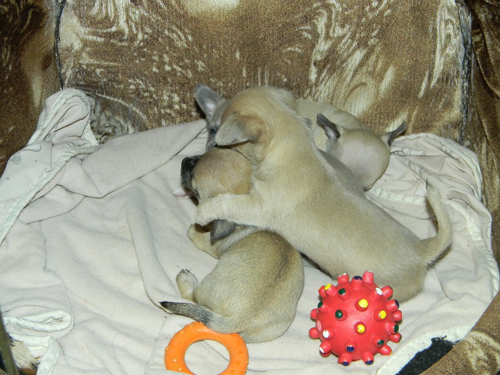 DSCN2132.JPG