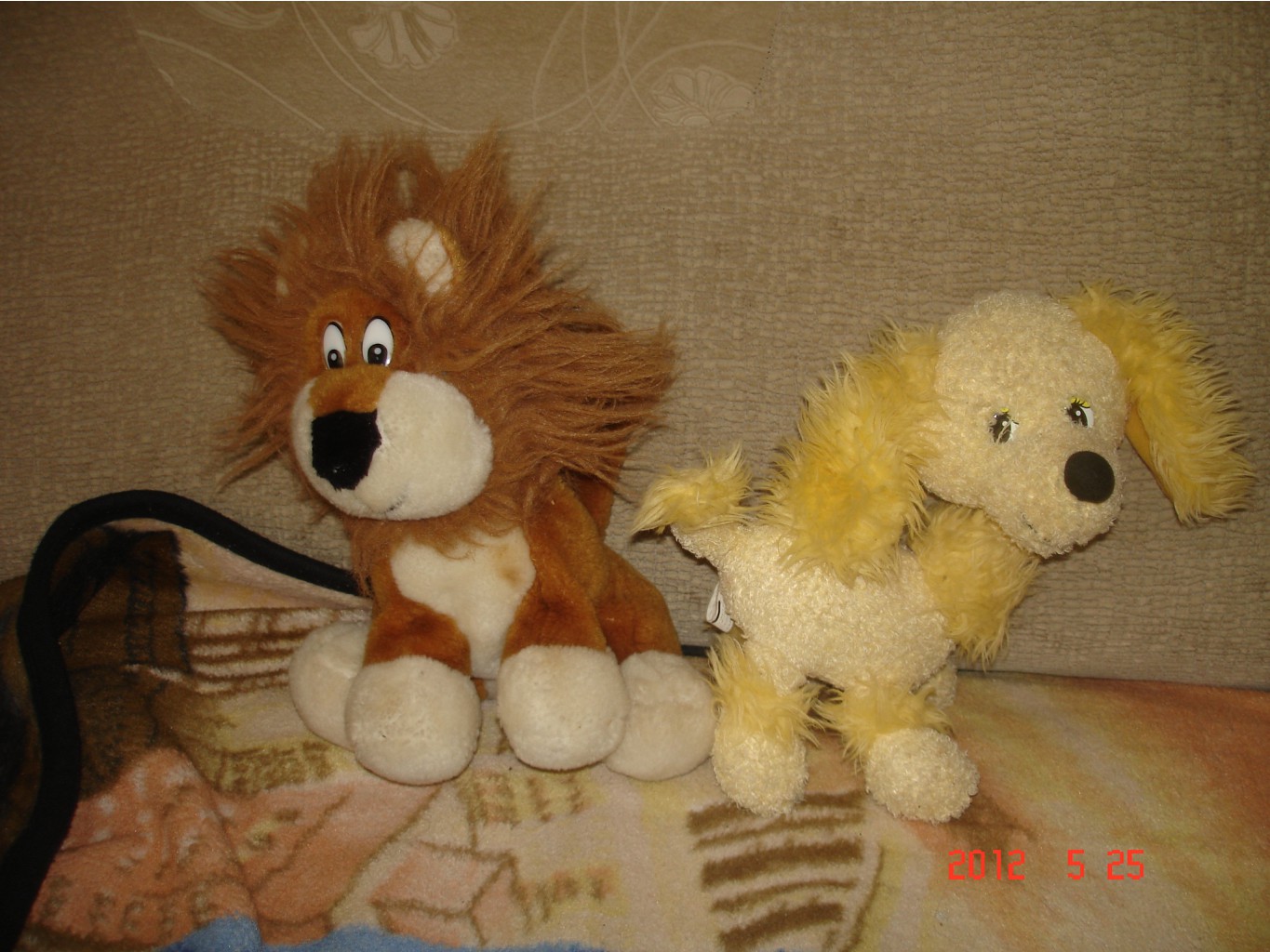 DSC08473.JPG