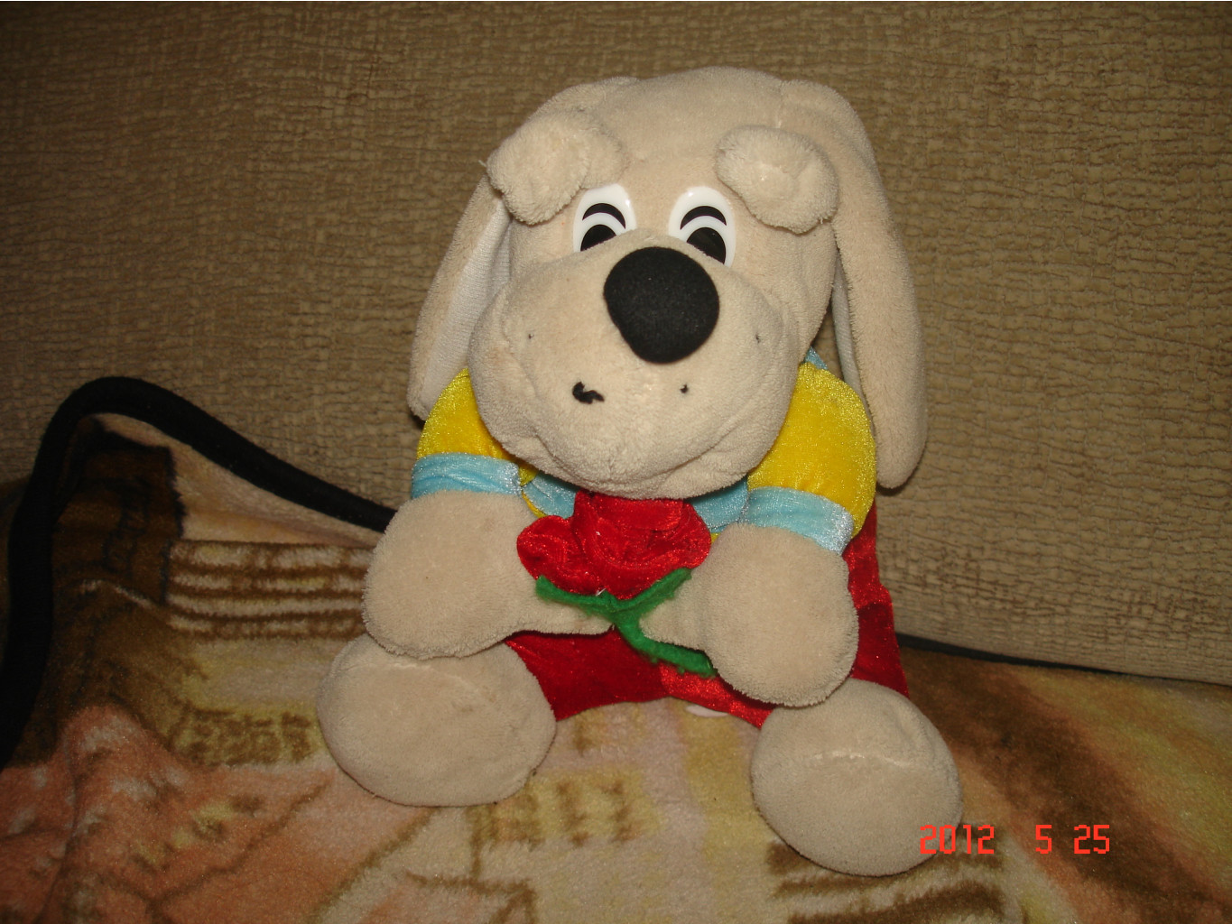 DSC08478.JPG