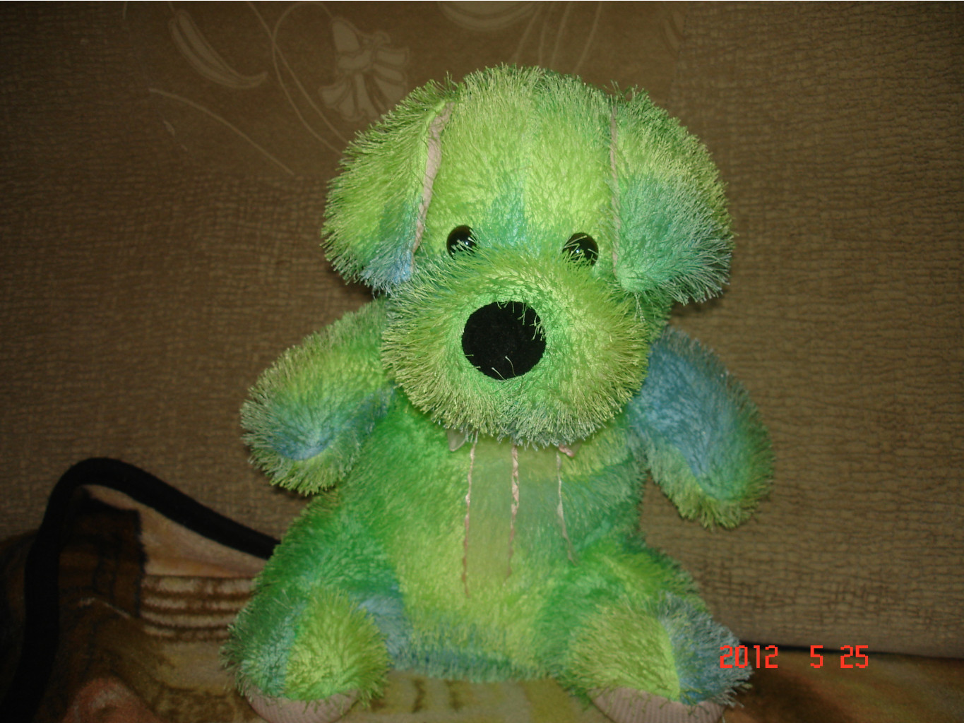 DSC08479.JPG