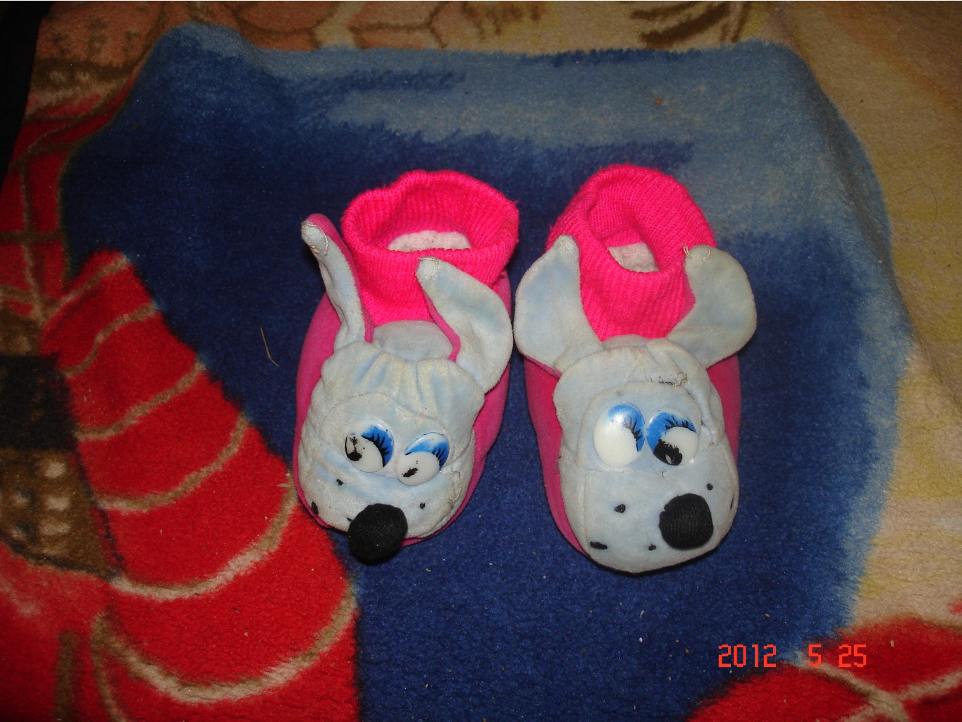 DSC08481.JPG