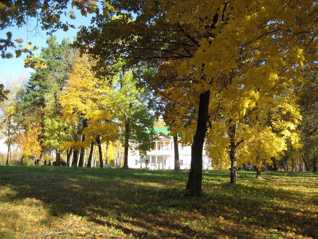 09.10.2008 13:09:56