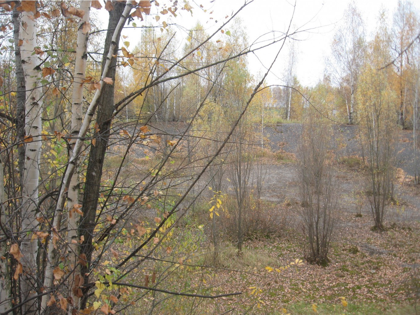 он же