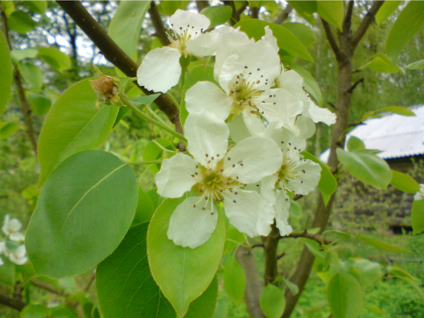 DSC00423.JPG