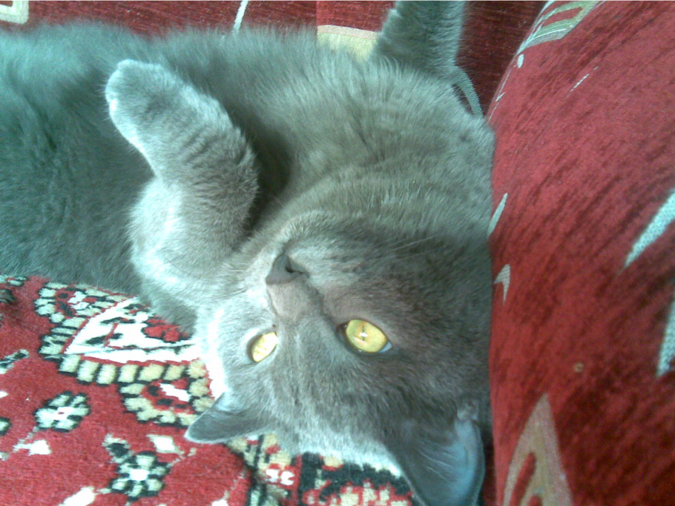 07102007(002).jpg