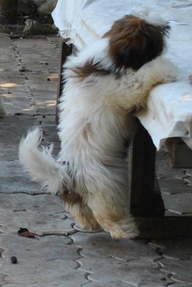 DSC_0636.JPG