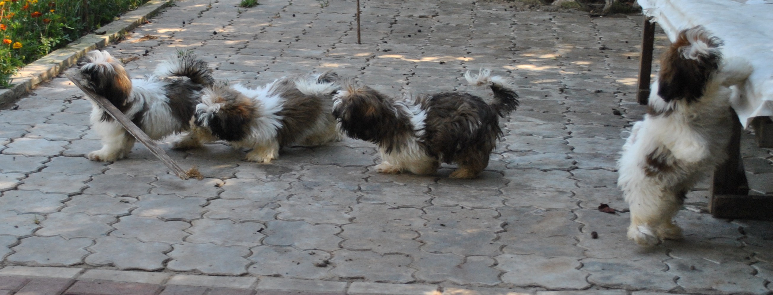 DSC_0638.JPG