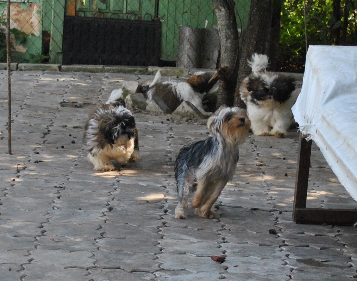 DSC_0643.JPG