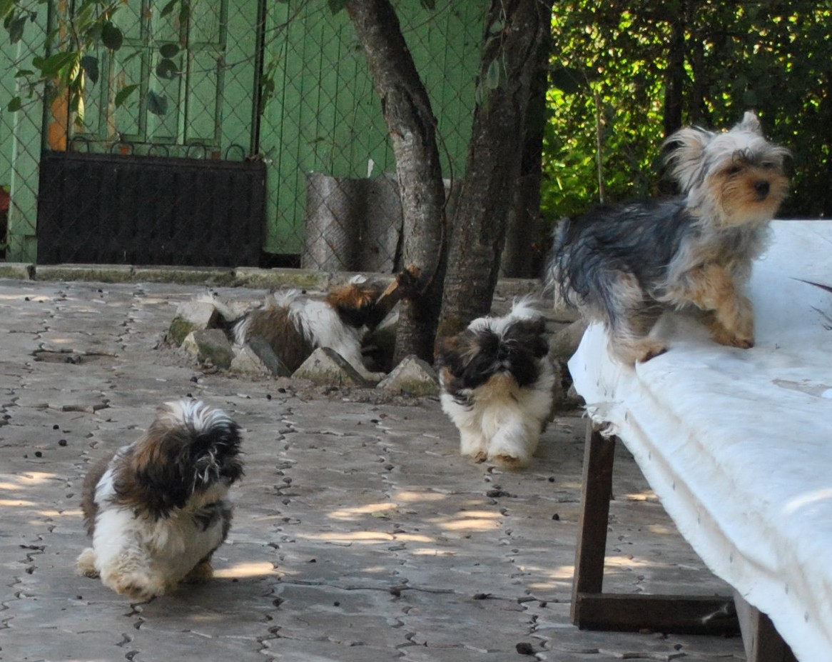 DSC_0644.JPG