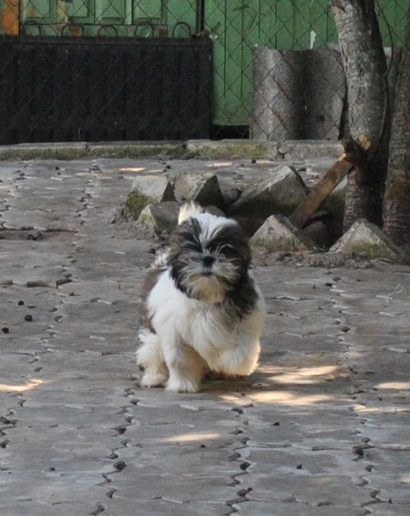 DSC_0646.JPG