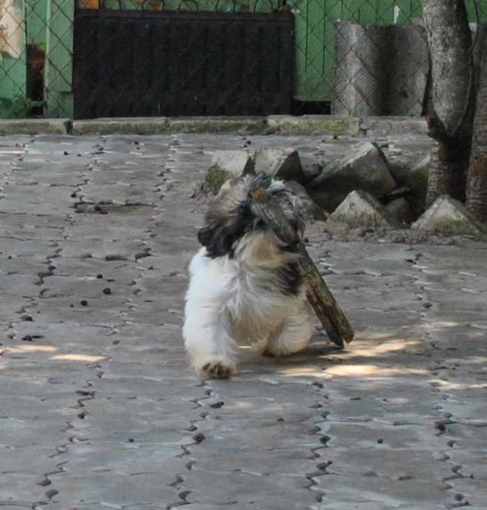 DSC_0655.JPG