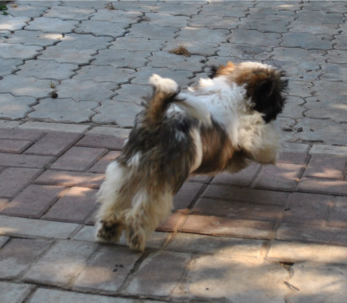 DSC_0663.JPG
